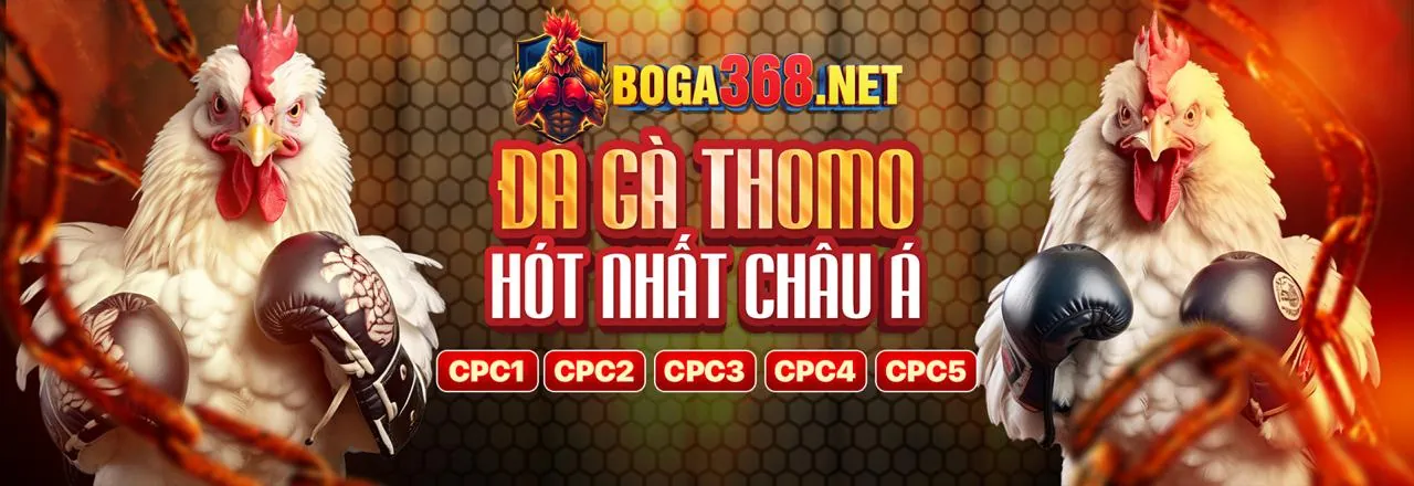 Đội ngũ chuyên nghiệp của mm99 link vào