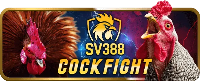 Chương trình VIP MM99